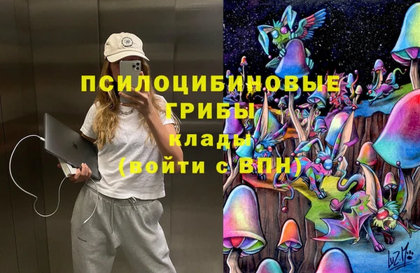 тгк Надым