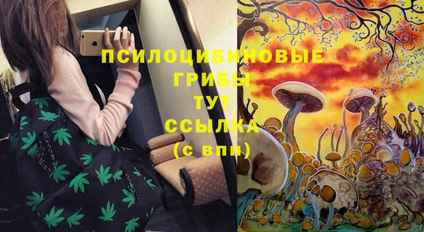 прущая мука Армянск